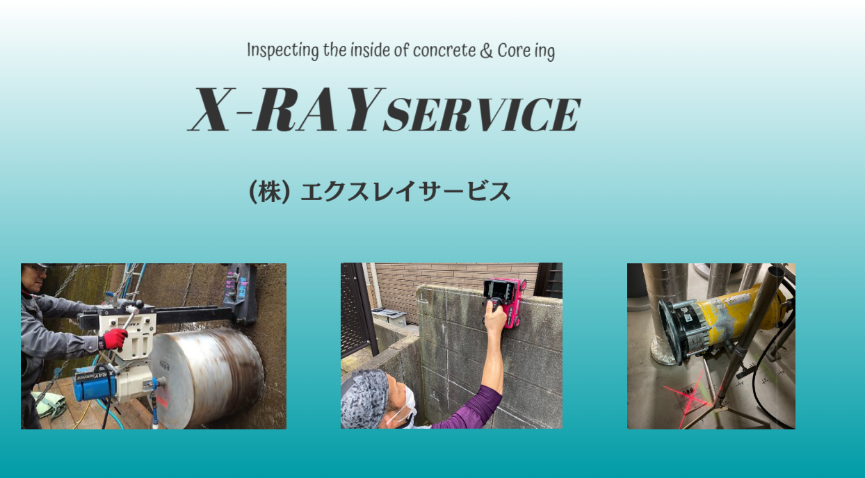 エクスレイサービストップ画像